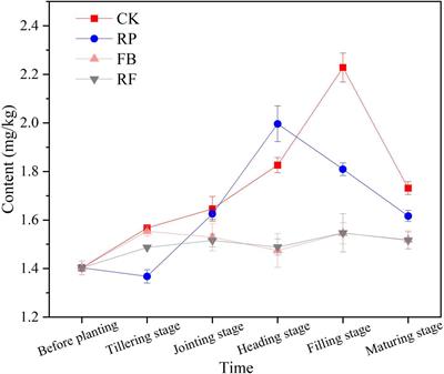 Arsenic Transformation in Soil-Rice System Affected by Iron-Oxidizing Strain (Ochrobactrum sp.) and Related Soil Metabolomics Analysis